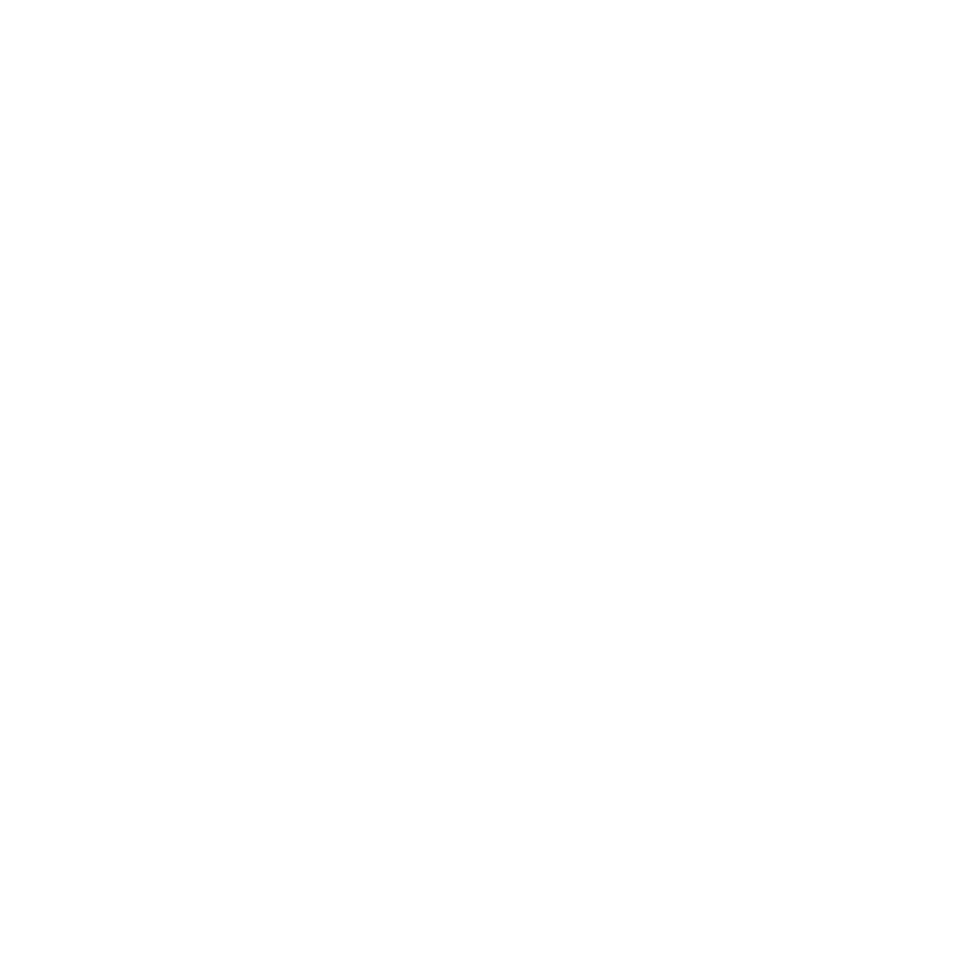 DuoBug logo